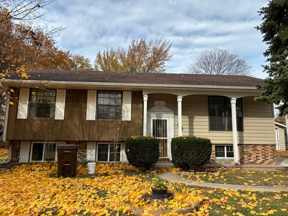 215 Irene Ave in Rochelle, IL - Foto de edificio