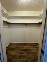4521 Colbath Ave in Los Angeles, CA - Building Photo - Building Photo
