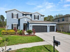 4446 Wildstar Cir in Wesley Chapel, FL - Building Photo