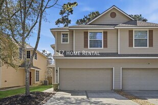 59 E Stedhill Loop in The Woodlands, TX - Building Photo