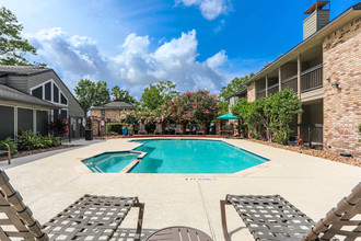 Serena Oasis in Houston, TX - Building Photo - Building Photo