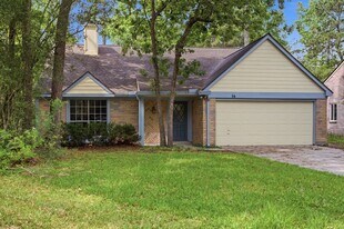 54 Quiet Peace Pl in The Woodlands, TX - Building Photo