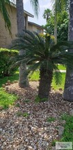 5317 Palm Valley Dr N in Harlingen, TX - Building Photo - Building Photo