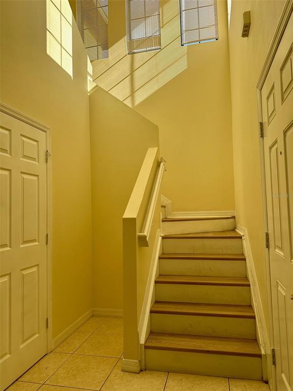 30204 Goodwick Way in Wesley Chapel, FL - Building Photo - Building Photo