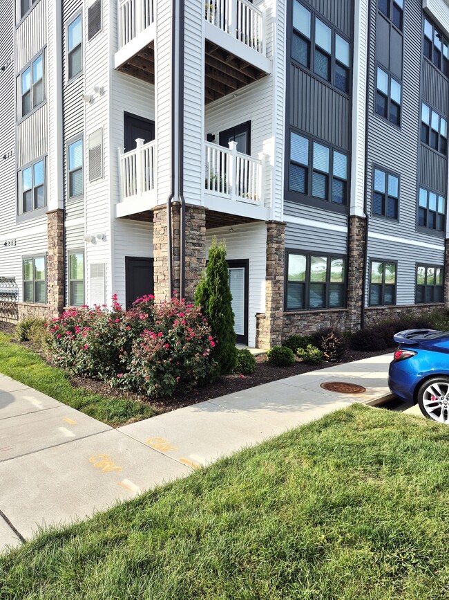 property at 3700 Maze Runner Dr