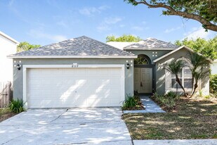 807 Rocky Mountain Ct in Valrico, FL - Building Photo