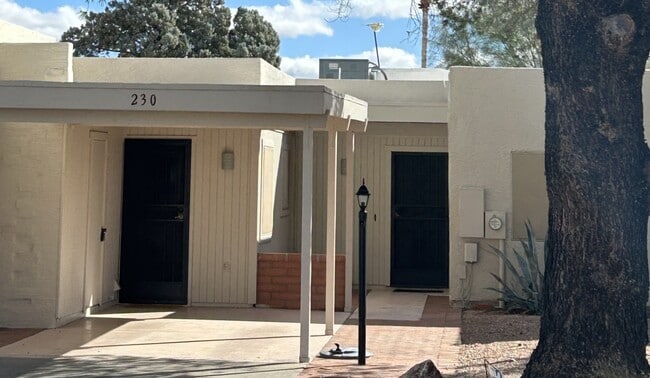 property at 230 N Calle Acuarela