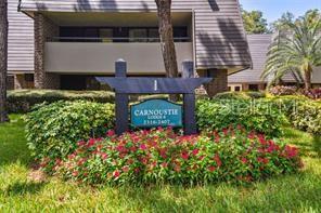 property at 36750 US Hwy 19 N