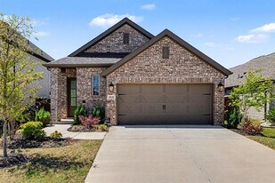 3121 Winecup Wy in Little Elm, TX - Building Photo