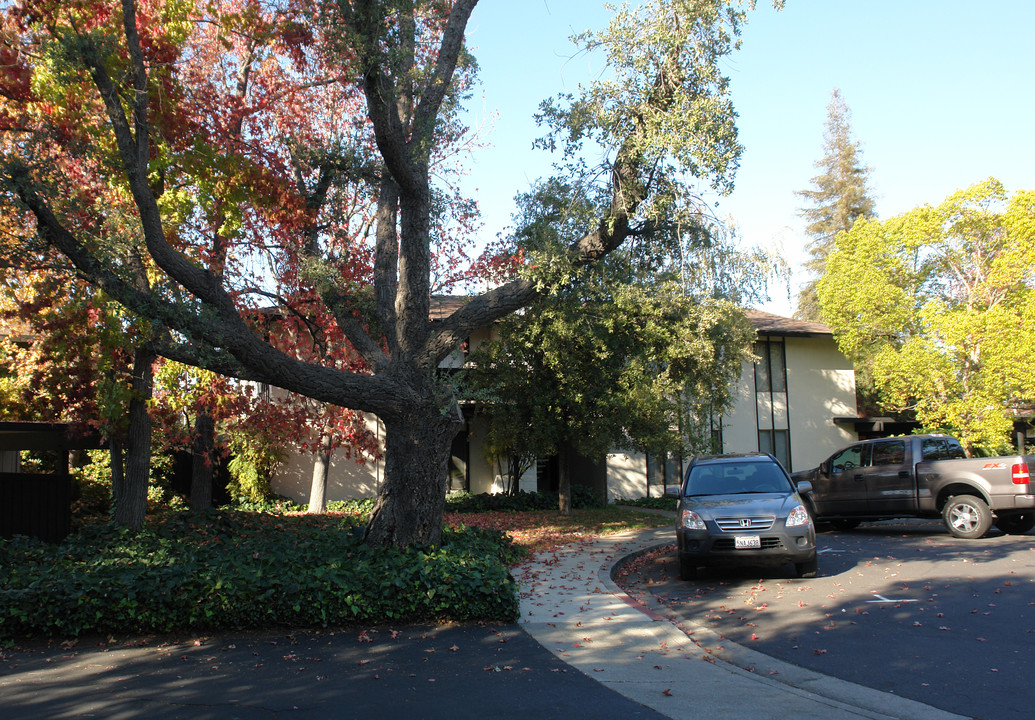 1948 Desert Cir in Walnut Creek, CA - Building Photo