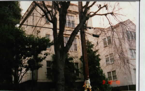 Toyon Court in Berkeley, CA - Building Photo - Building Photo