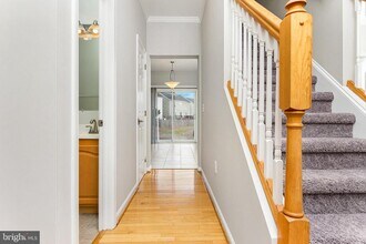 46 Glacier Way in Stafford, VA - Building Photo - Building Photo