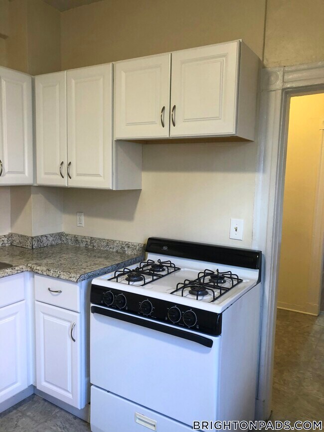 36 Orkney Rd in Boston, MA - Building Photo - Building Photo