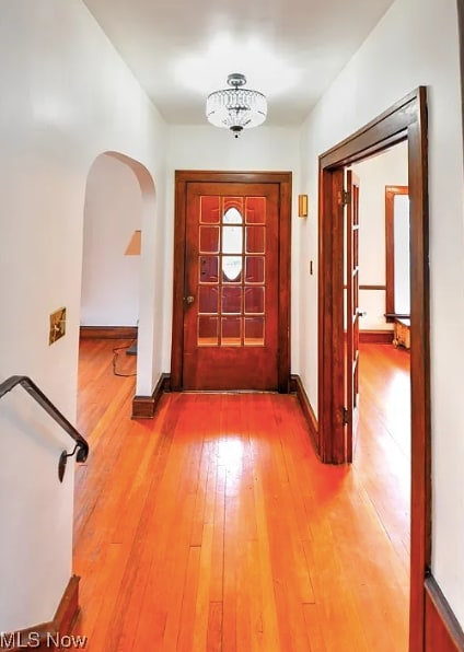 3133 Albion Rd in Shaker Heights, OH - Building Photo - Building Photo