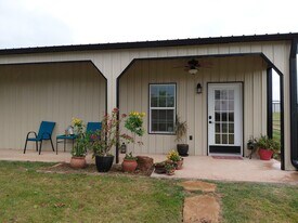 342 Green Meadows Ln in Springtown, TX - Building Photo
