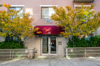 236 S 1st St in Brooklyn, NY - Building Photo - Building Photo