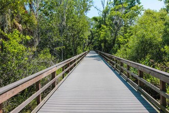 Westminster in Oldsmar, FL - Building Photo - Building Photo