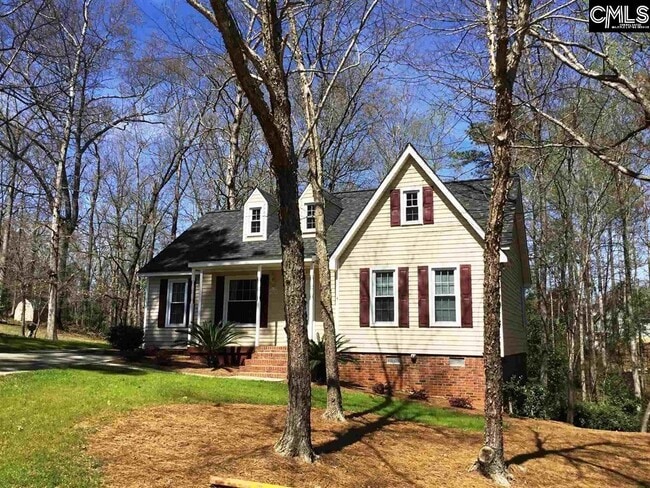 241 Teesdale Ct in Lexington, SC - Building Photo - Building Photo