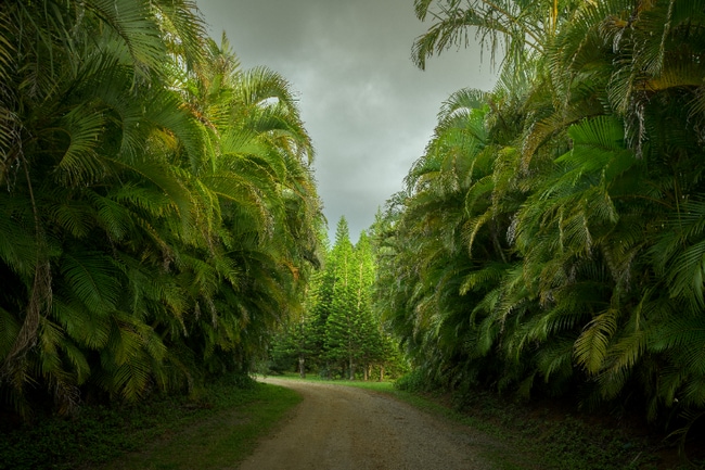 property at 1949 W Kuiaha Rd