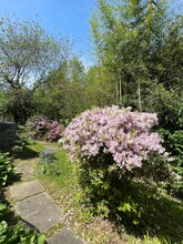 6321 Tone Ct in Bethesda, MD - Building Photo - Building Photo