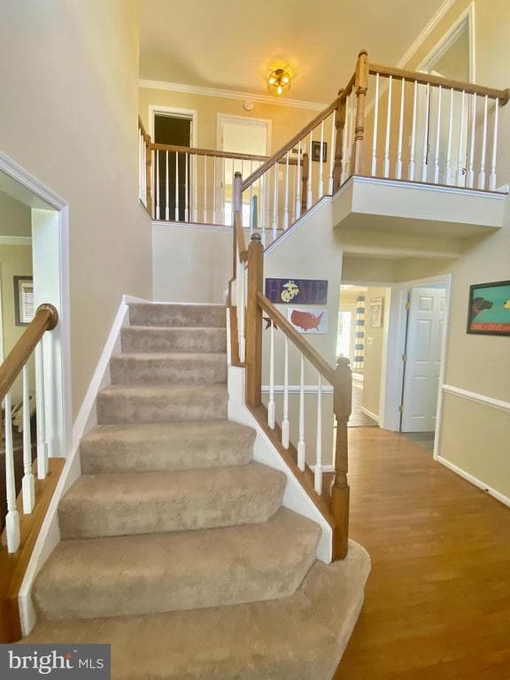 64 Tavern Rd in Stafford, VA - Building Photo - Building Photo