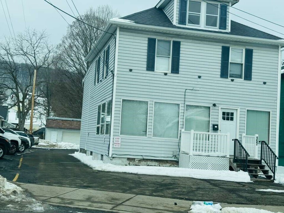 157 Harry L Dr in Johnson City, NY - Building Photo