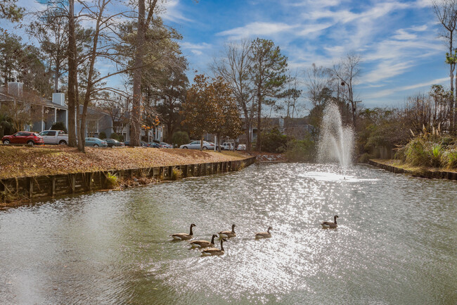 Martins Creek in Summerville, SC - Foto de edificio - Building Photo