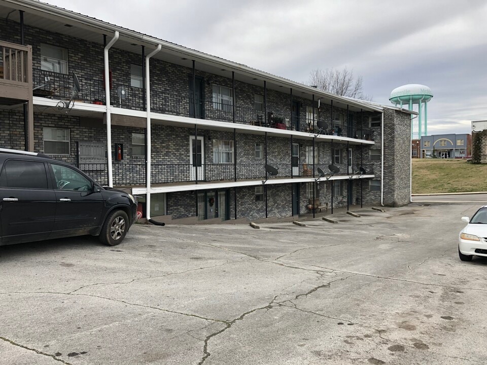 110 Lyon St in McMinnville, TN - Building Photo