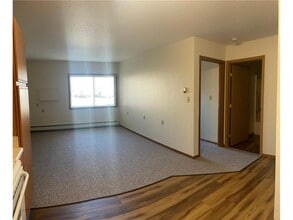 110 Union St E in Detroit Lakes, MN - Building Photo - Building Photo