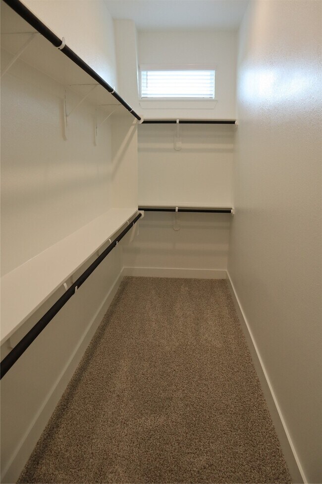 21114 Garden Palm Dr in Cypress, TX - Foto de edificio - Building Photo