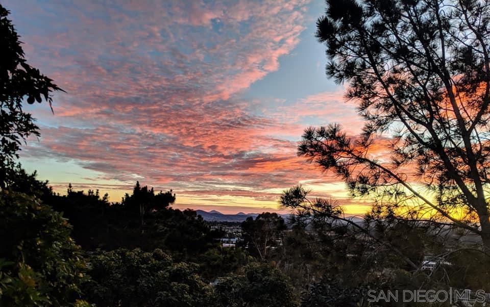 13731 Mira Montana Dr in Del Mar, CA - Building Photo
