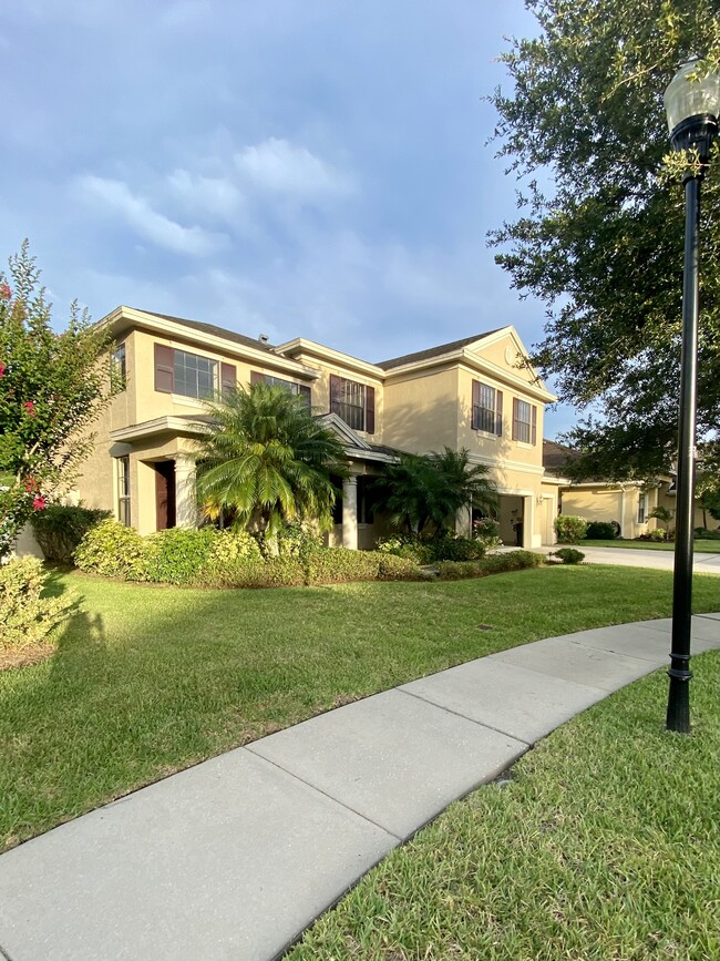 15631 N Himes Ave in Tampa, FL - Foto de edificio - Building Photo