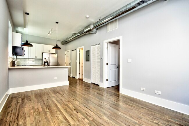 2007 S Allport St in Chicago, IL - Building Photo - Building Photo