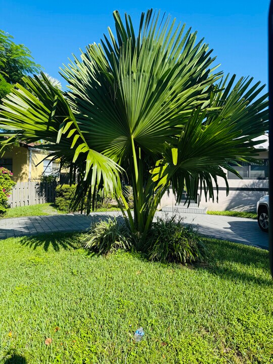 7771 Simms St in Hollywood, FL - Building Photo