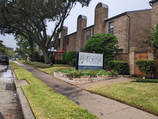 9850 Pagewood Ln in Houston, TX - Building Photo - Building Photo