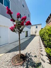3819 Percy St, Unit #E in Los Angeles, CA - Building Photo - Building Photo