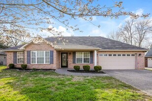 10002 Syracuse Dr in Smyrna, TN - Building Photo