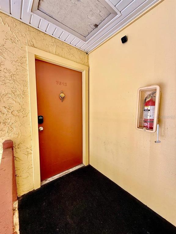 7612 Camarina Calle in Tampa, FL - Building Photo - Building Photo