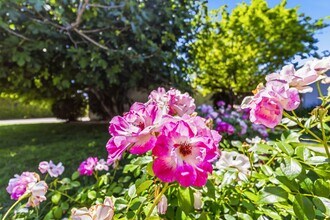 23020 Haynes St in Los Angeles, CA - Building Photo - Building Photo