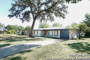 56 Ewing Pl in San Antonio, TX - Foto de edificio - Building Photo