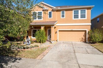 20204 Autumn Fern Ave in Tampa, FL - Building Photo - Building Photo