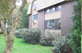 Central Street Apartments in Ansonia, CT - Foto de edificio - Building Photo