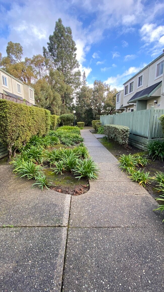 3841 Nolan Ter Rentals in Fremont, CA