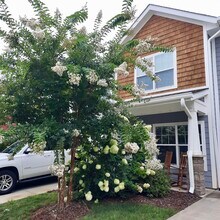 1025 Baldwin Commons Dr in Arden, NC - Building Photo - Building Photo