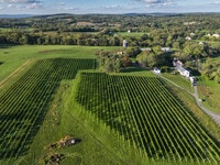 Apartments in Leesburg, VA