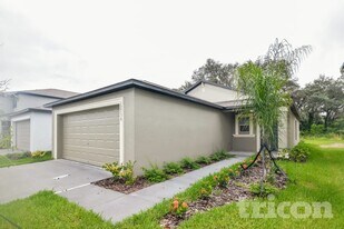 12739 Lemon Pepper Dr in Riverview, FL - Building Photo