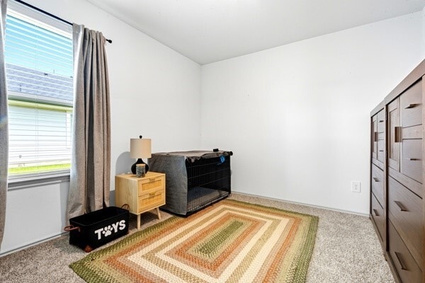 property at 1137 Buffalograss Trl