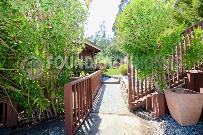 817 Ridgeview Dr in Mill Valley, CA - Building Photo - Building Photo