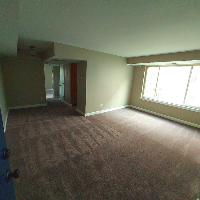 742 Brandywine St SE in Washington, DC - Building Photo - Building Photo