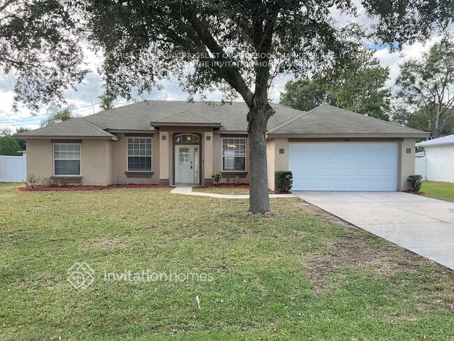1720 Umbrella Tree Dr